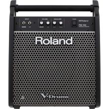 Roland PM-100 | Amplificador 110V