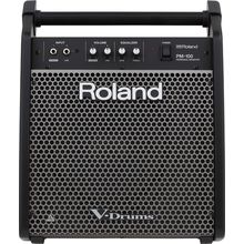 Amplificador Roland PM-100