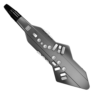 Roland Aerophone GO | Instrumento Digital de Sopro