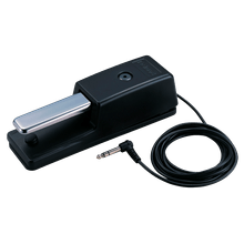 Pedal de Sustain Roland DP-10