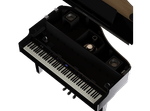 Piano De Cauda Digital
